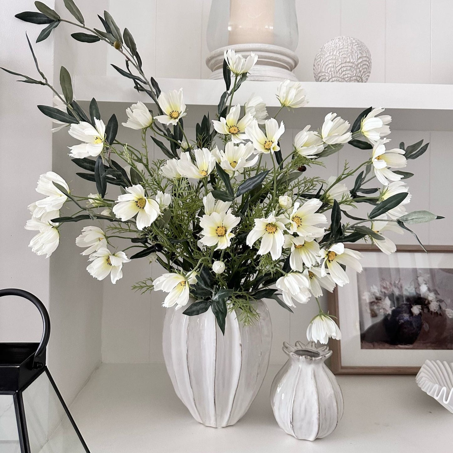 White Cosmos Flower Stem