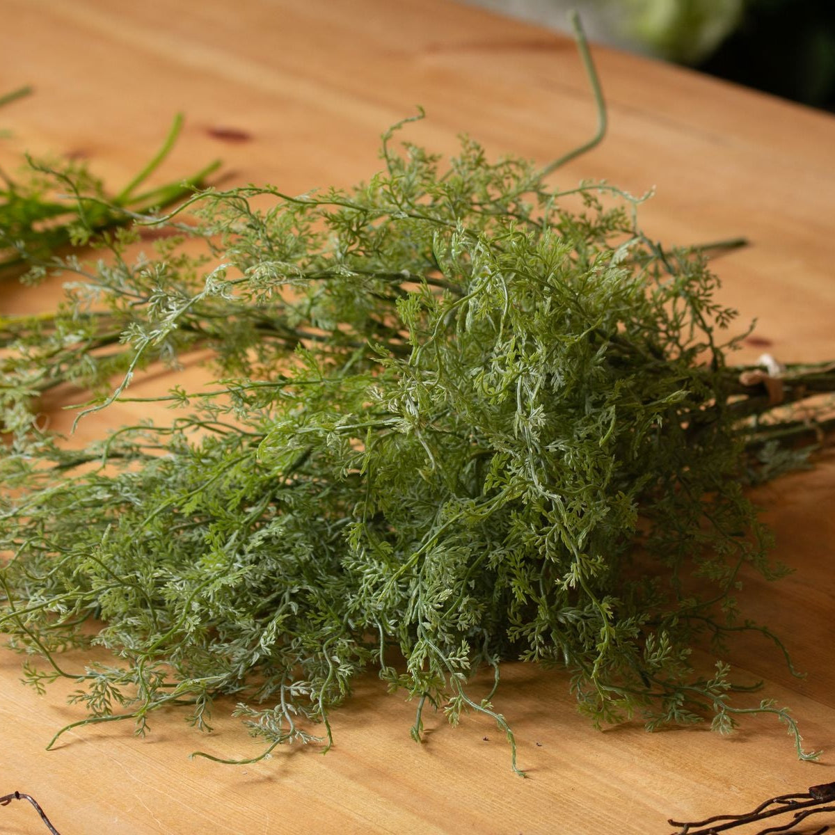 Asparagus Fern Bunch