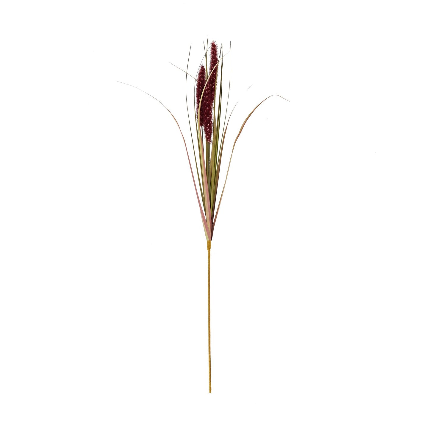 Triple Grass Stem