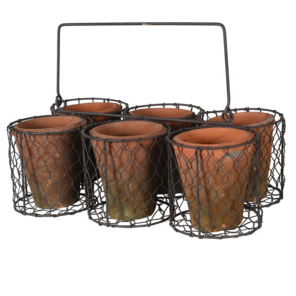 Set of 6 Small Pots in Wire Basket