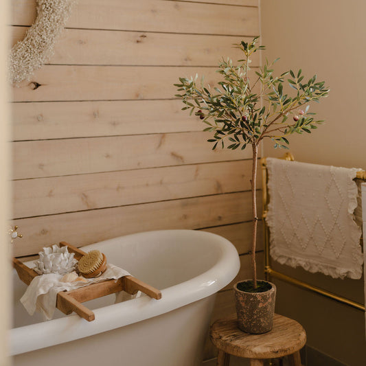 Faux Olive Tree in Ceramic Garden Pot