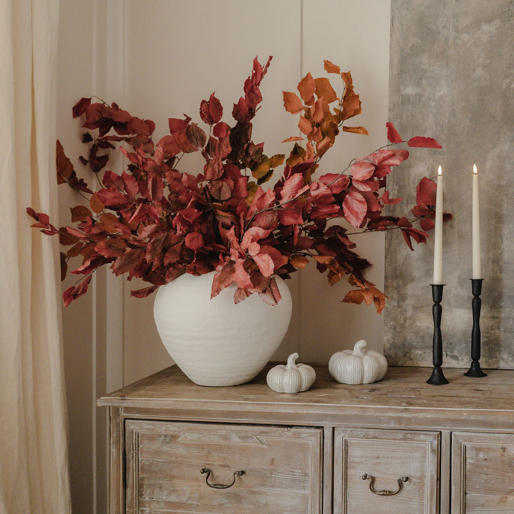 Preserved Autumn Copper Beech Burgundy