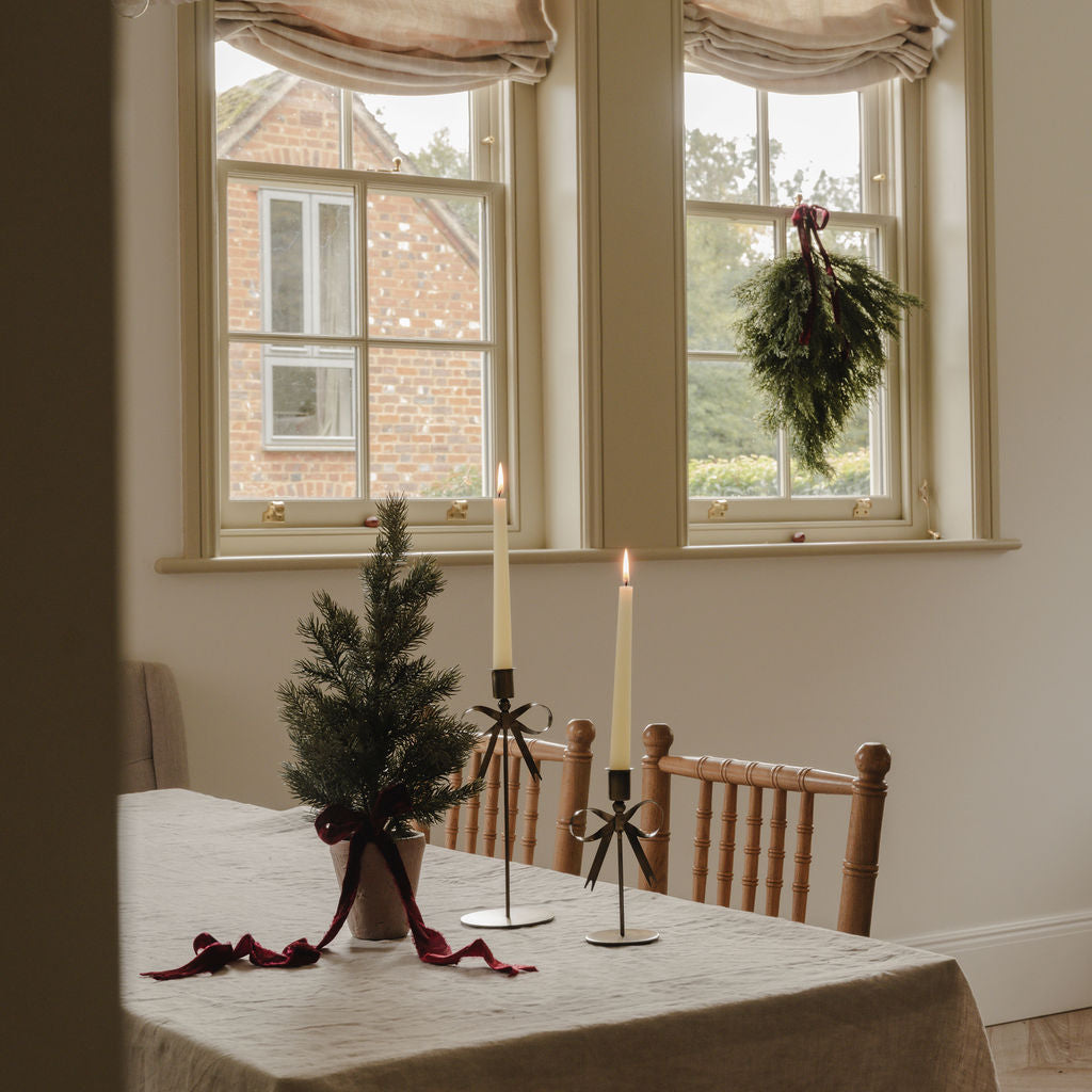 Grey Leaf Pine Tree in Pot