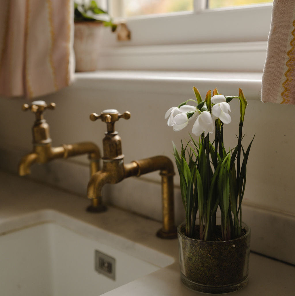 Snowdrops in Glass Pot