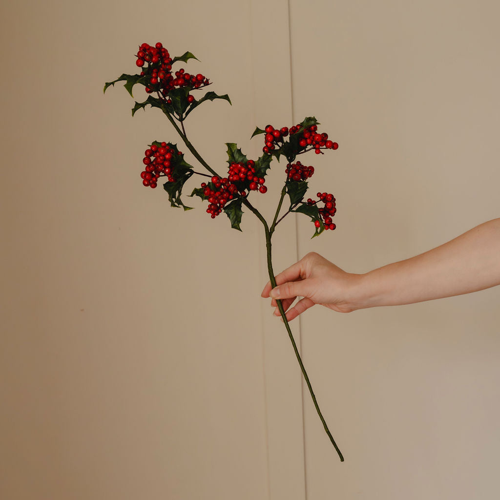 Holly Stem