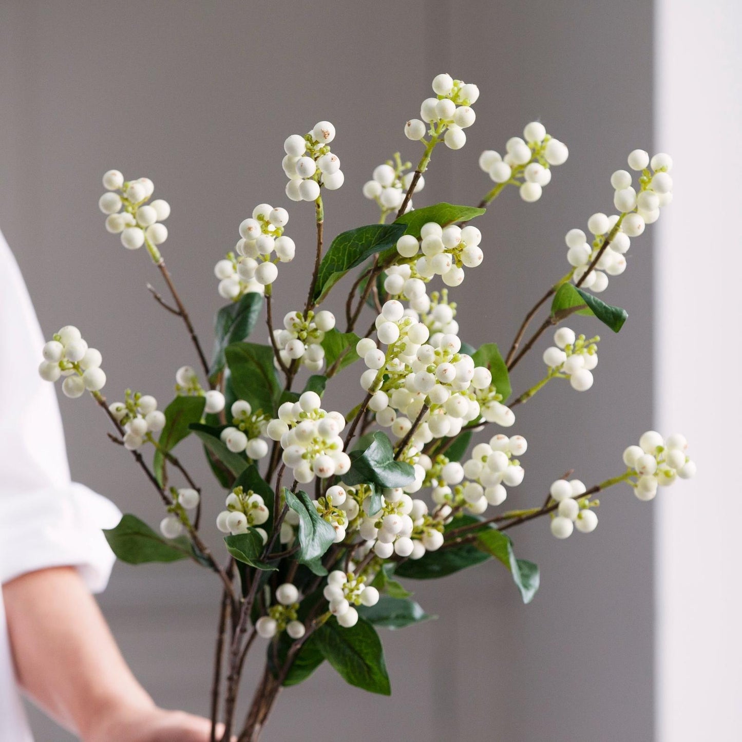 Winter Berry Stems