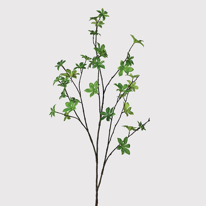Green Enkianthus Spray