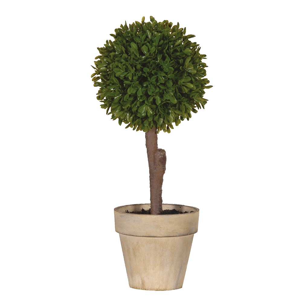 Green Miniature Boxwood Ball in Brown Pot