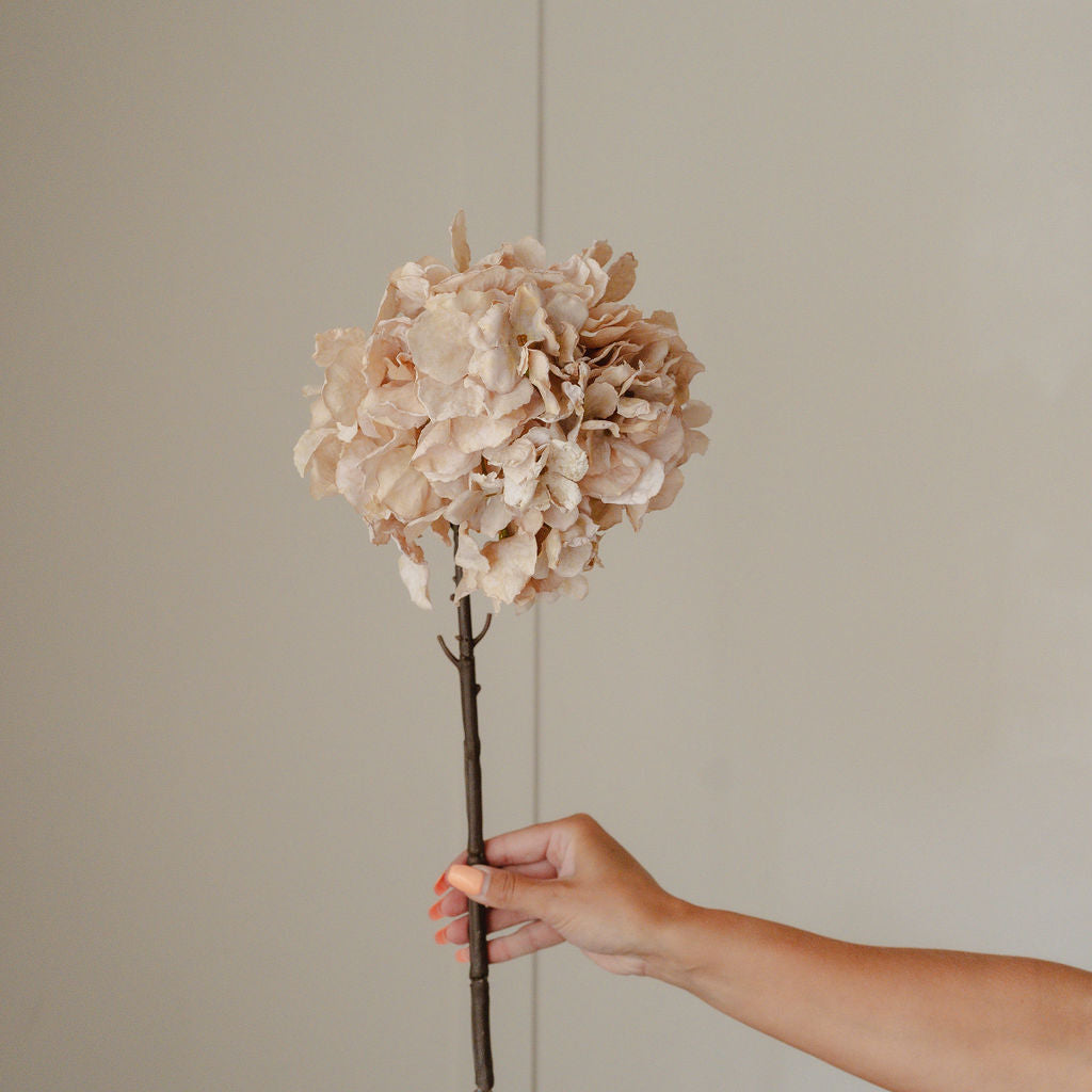 Faux Dried Antique Cream Hydrangea
