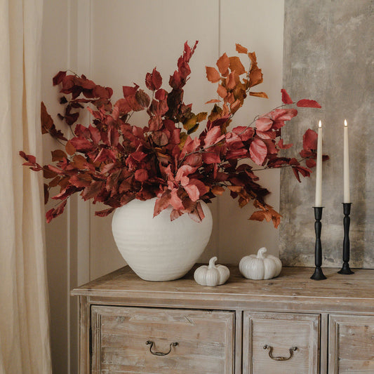Preserved Autumn Copper Beech Burgundy