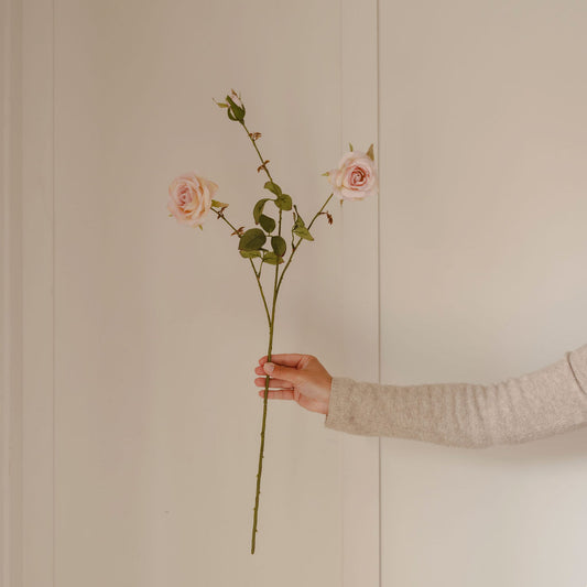 Blush Rose with Bud Stem
