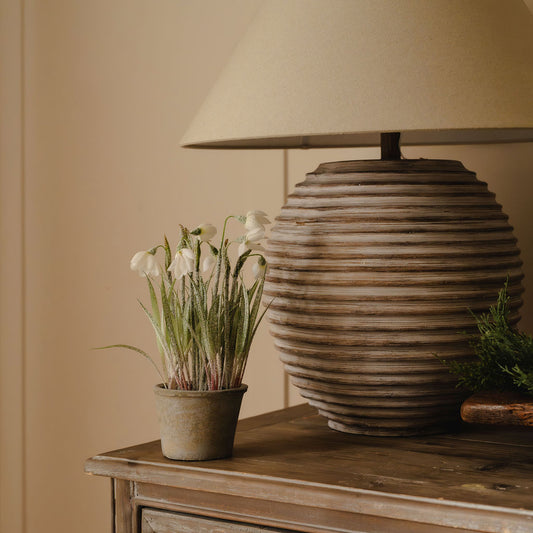 Frosted Snowdrops in Pot