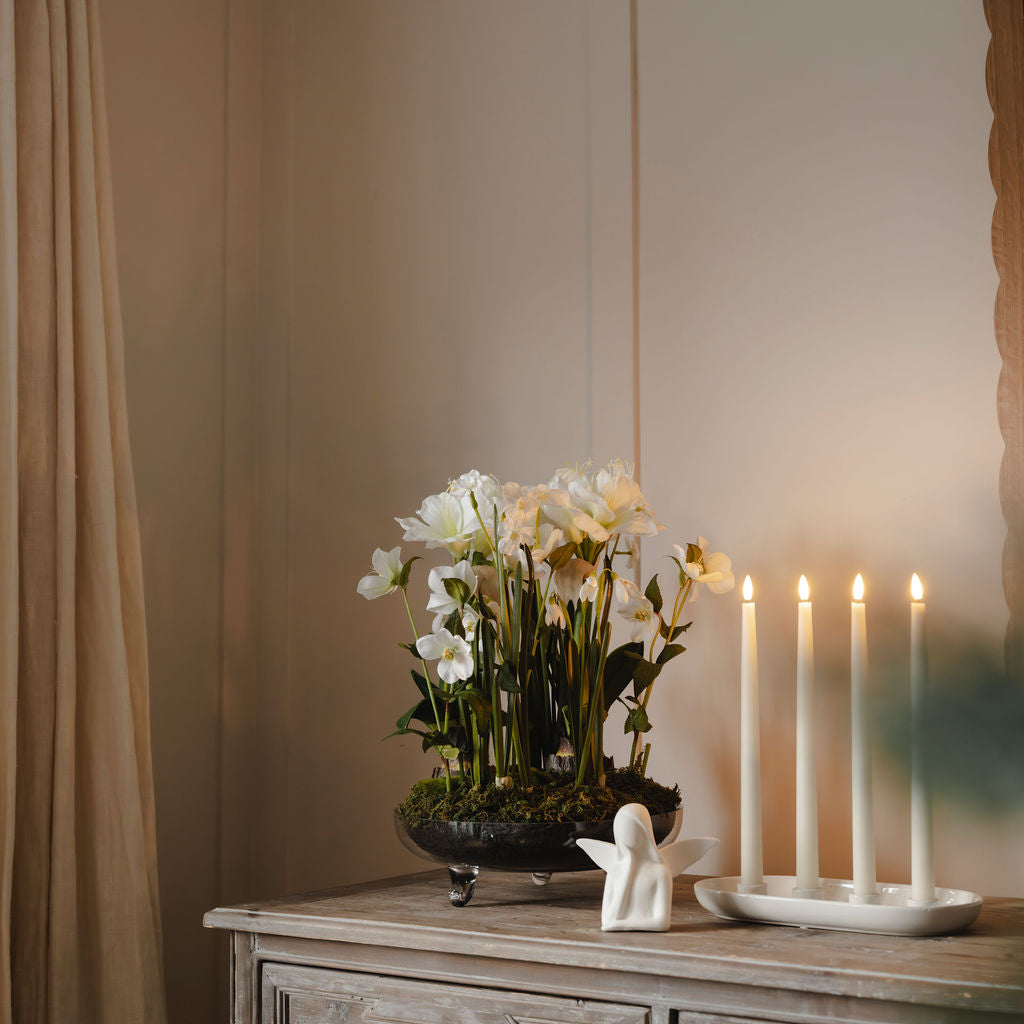 Elegant Amaryllis with Moss in Glass Vase
