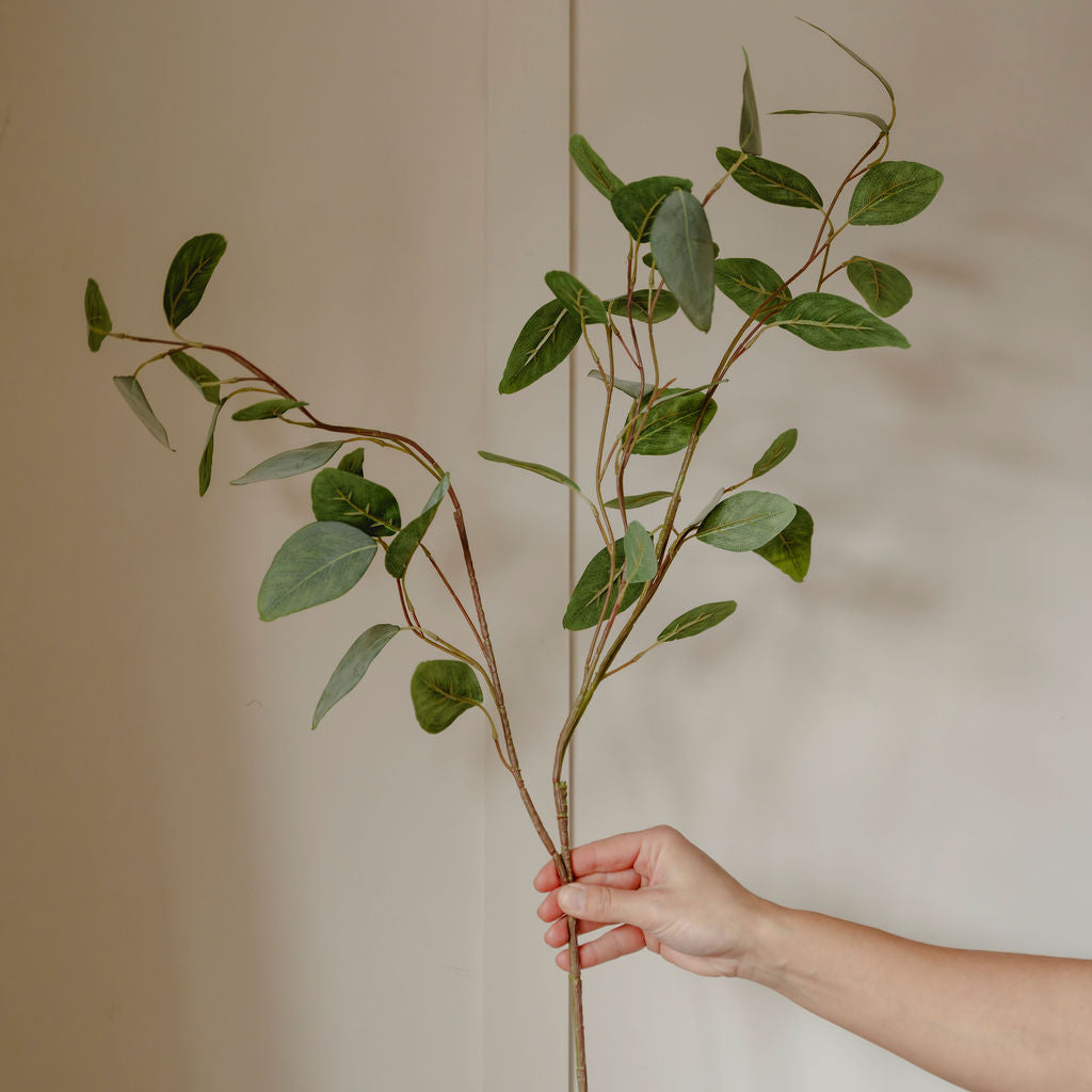 Silver Dollar Eucalyptus Spray