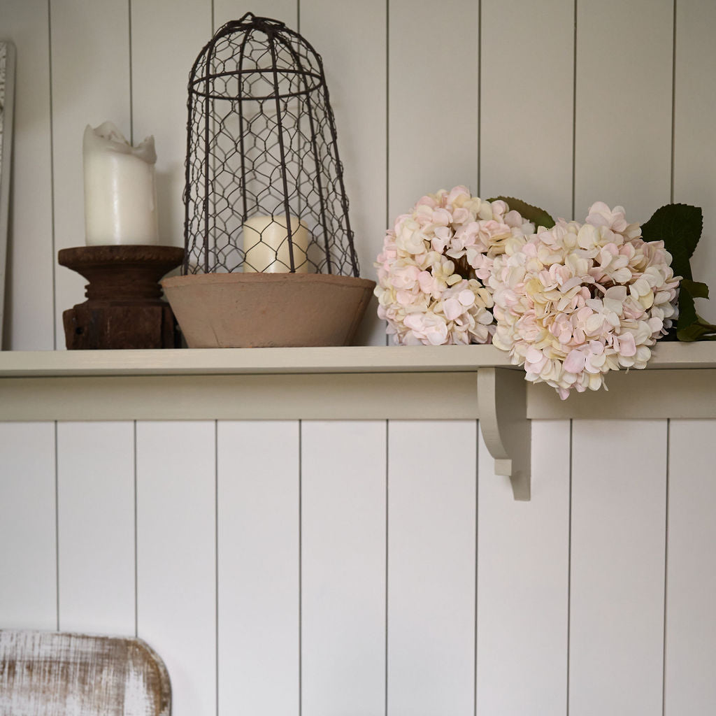 Autumn White Hydrangea
