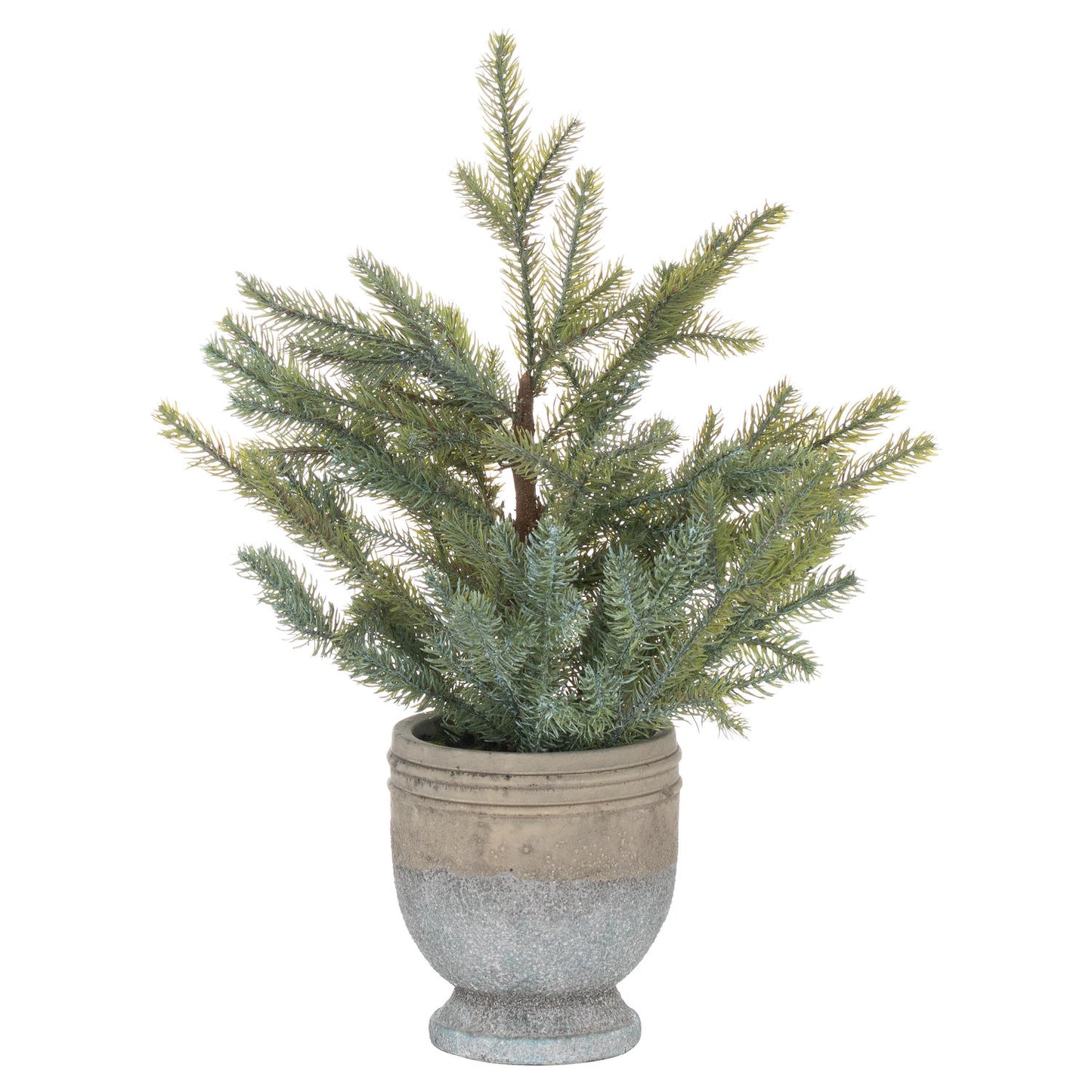 Potted Pine Tree