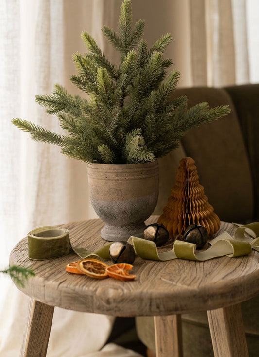 Potted Pine Tree